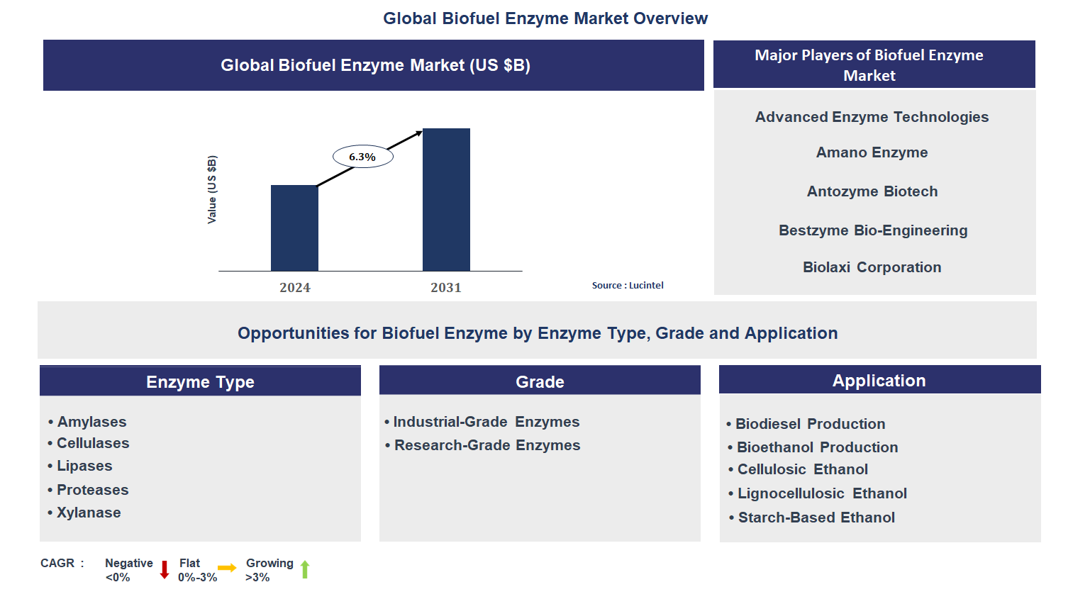 Biofuel Enzyme Market Trends and Forecast