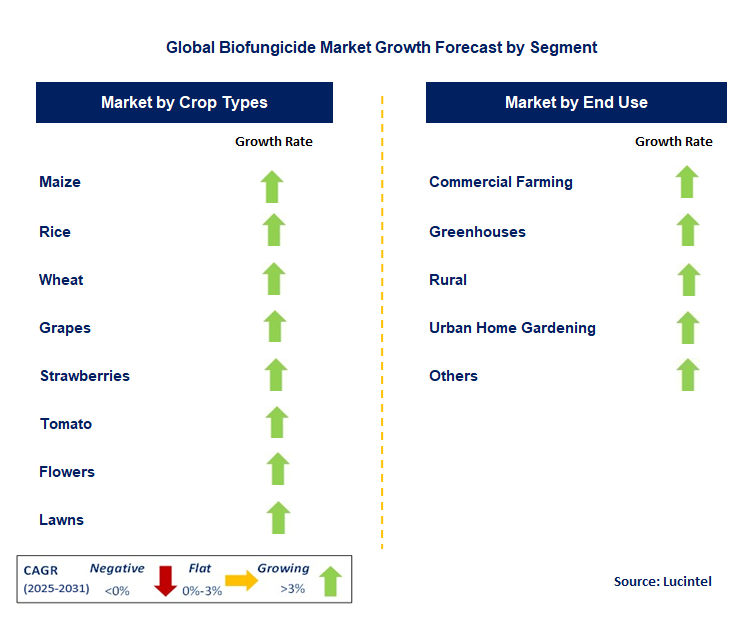 Biofungicide Market by Segment