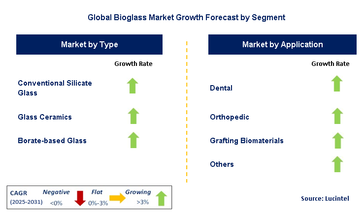 Bioglass Market by Segment