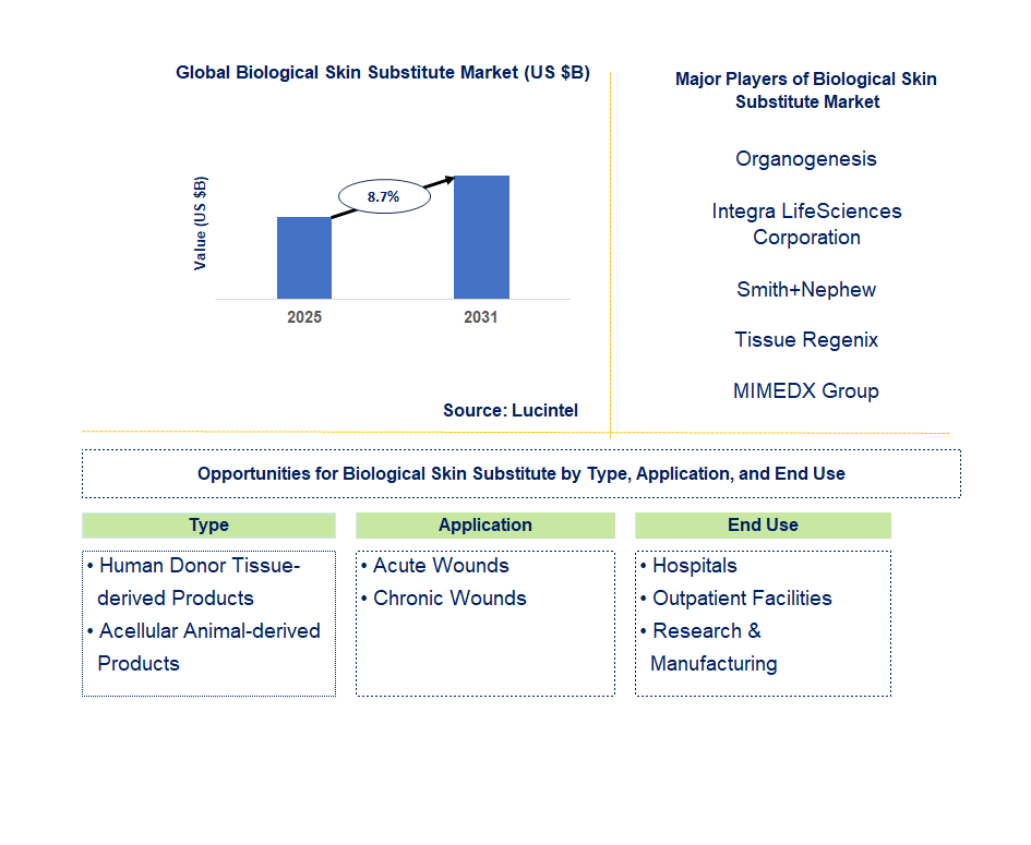 Biological Skin Substitute Market Trends and Forecast