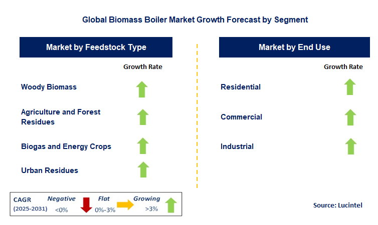 Biomass Boiler Market by Segment