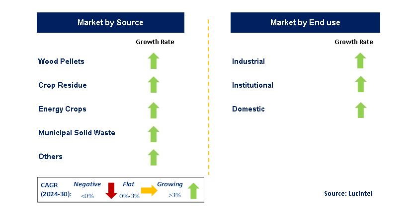 Biomass Solid Fuel by Segment