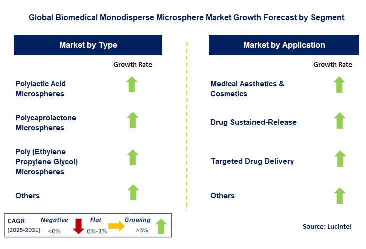 Biomedical Monodisperse Microsphere Market by Segment