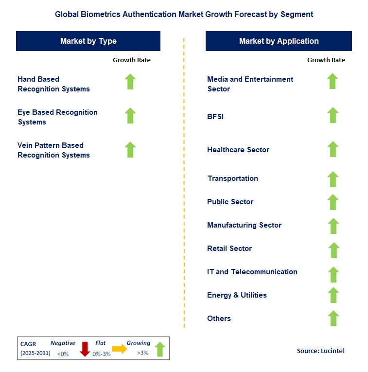 Biometrics Authentication Market by Segment