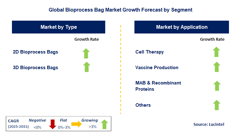 Bioprocess Bag Market by Segment