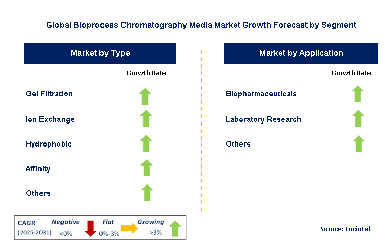 Bioprocess Chromatography Media Market by Segment