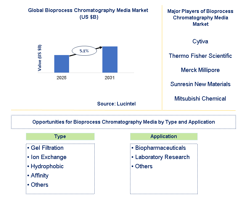 Bioprocess Chromatography Media Market Trends and Forecast