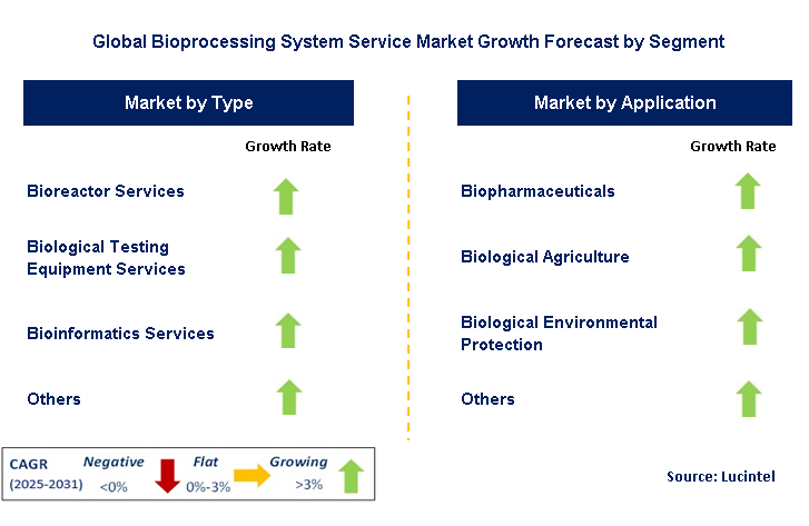 Bioprocessing System Service Market by Segment