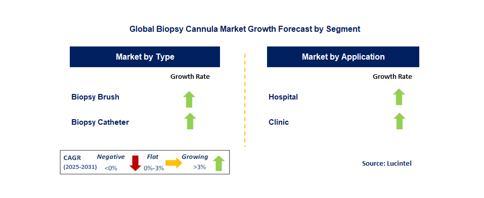 Biopsy Cannula Market by Segment
