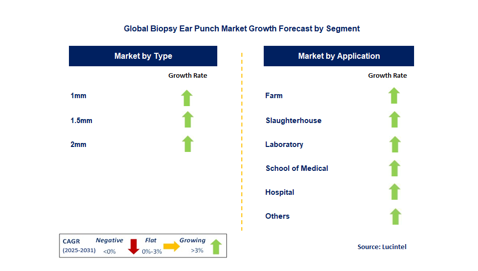 Biopsy Ear Punch Market by Segment