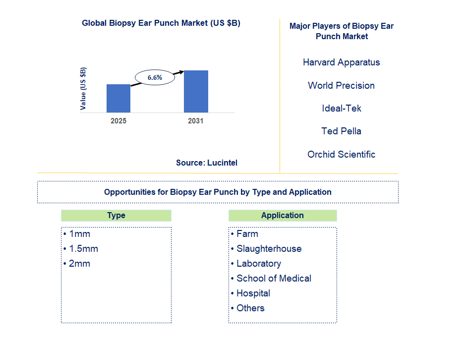 Biopsy Ear Punch Market Trends and Forecast