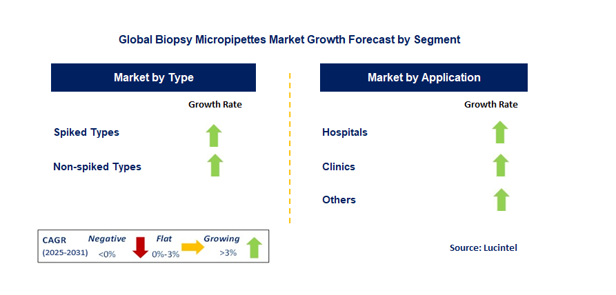 Biopsy Micropipettes Market by Segment