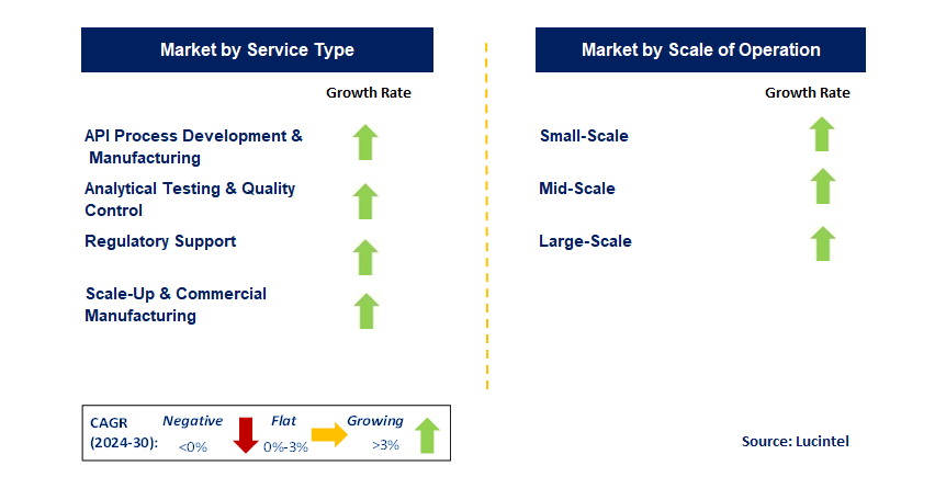 Biotech API Manufacturing Service by Segment