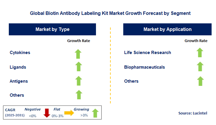 Biotin Antibody Labeling Kit Market by Segment