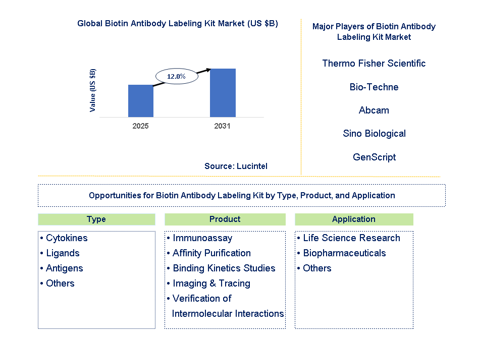 Biotin Antibody Labeling Kit Market Trends and Forecast