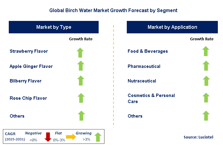 Birch Water Market by Segment