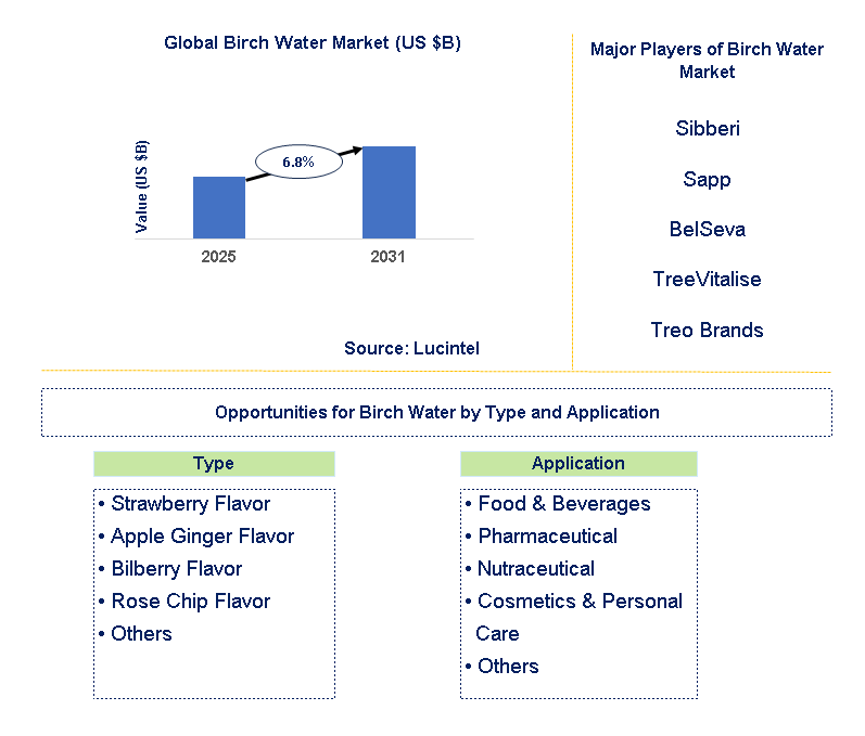 Birch Water Market Trends and Forecast