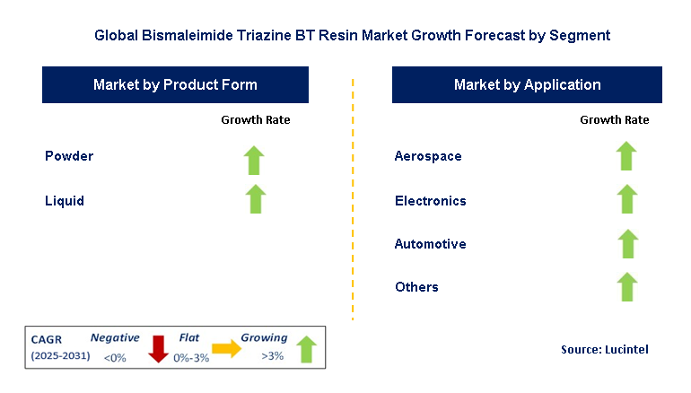 Bismaleimide Triazine BT Resin Market by Segment