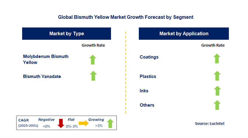 Bismuth Yellow Market by Segment