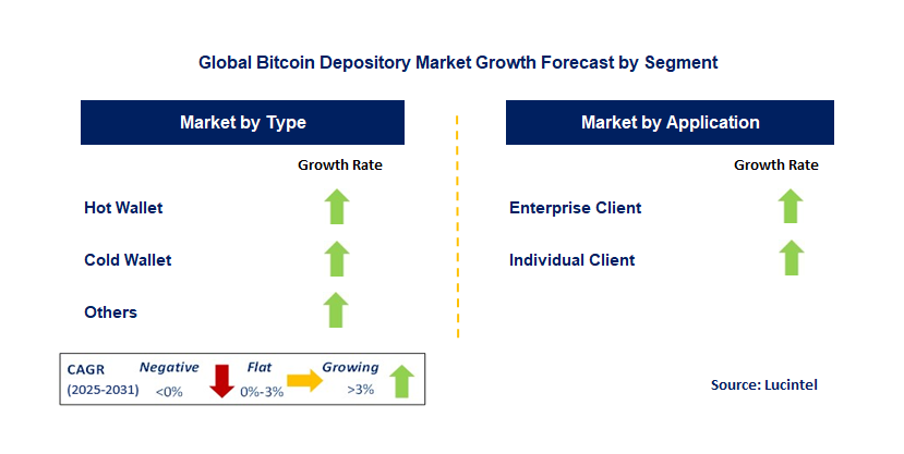 Bitcoin Depository Market by Segment