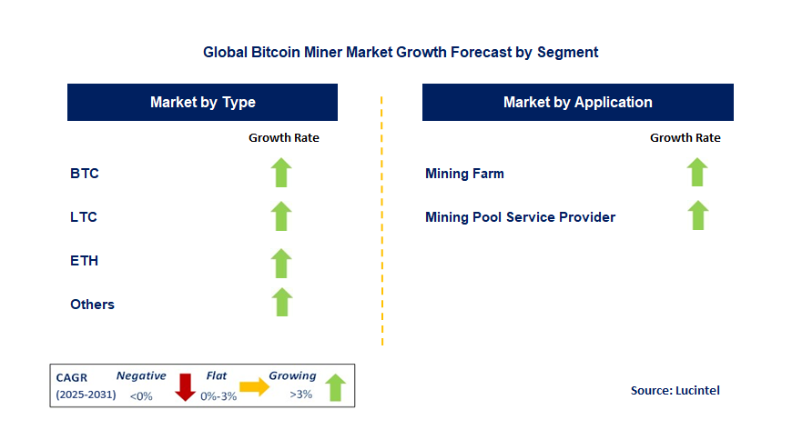 Bitcoin Miner Market by Segment