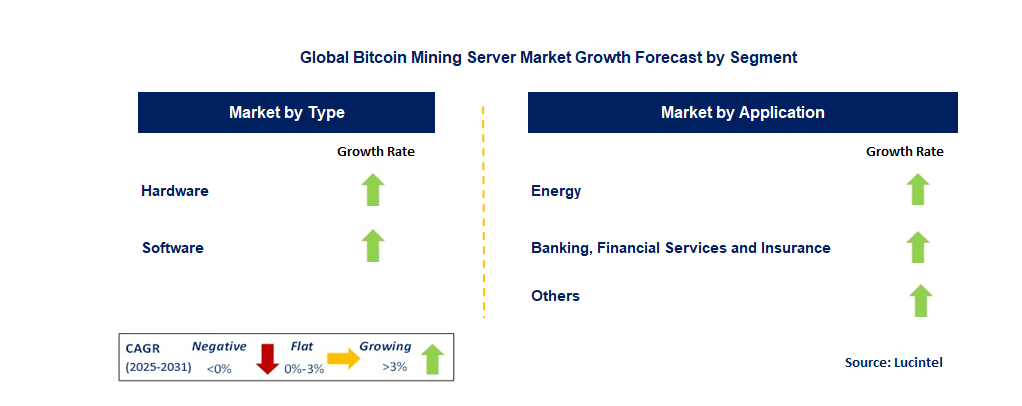 Bitcoin Mining Server Market by Segment