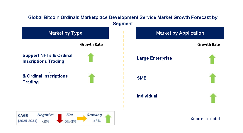 Bitcoin Ordinals Marketplace Development Service Market by Segment