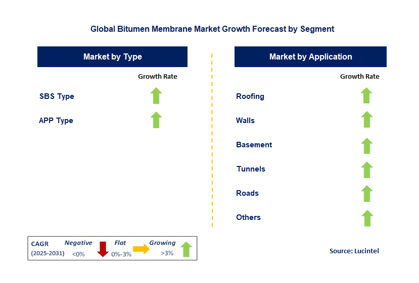 Bitumen Membrane Market by Segment