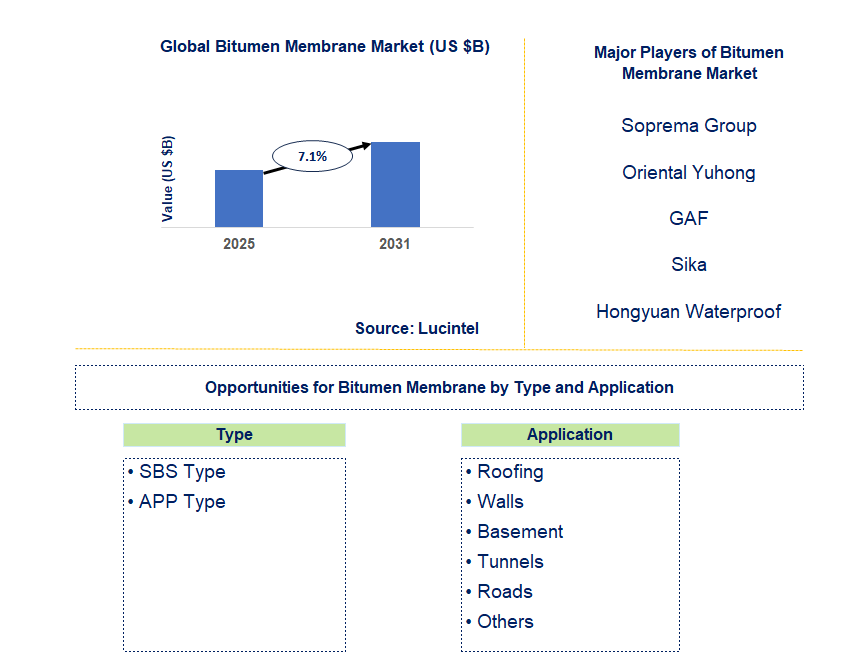 Bitumen Membrane Market Trends and Forecast