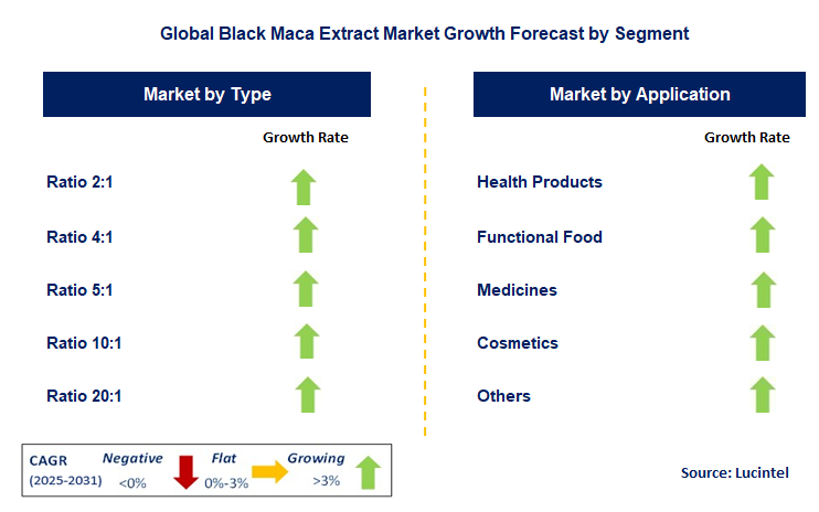 Black Maca Extract Market by Segment