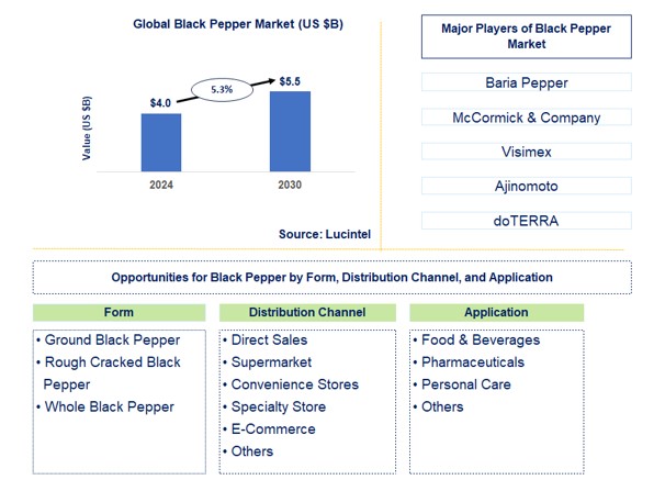 Black Pepper Trends and Forecast