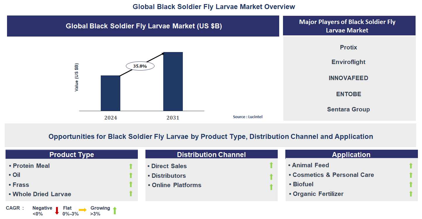 Black Soldier Fly Larvae Market Trends and Forecast