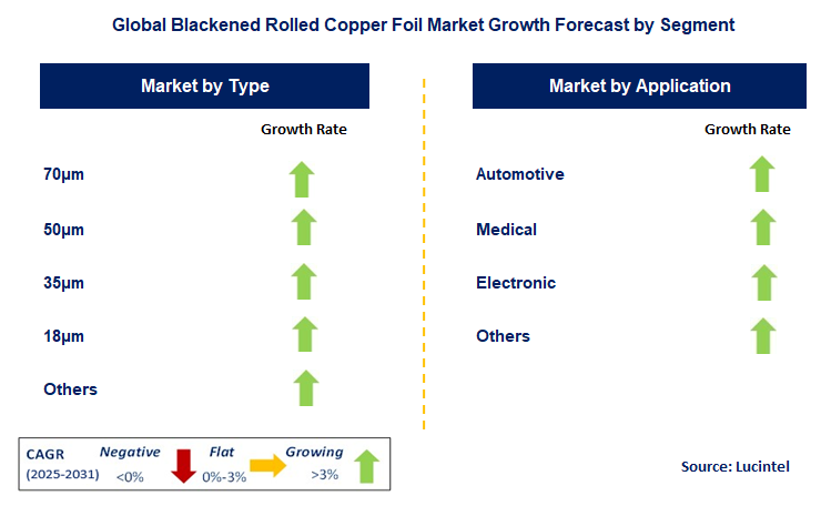Blackened Rolled Copper Foil Market by Segment