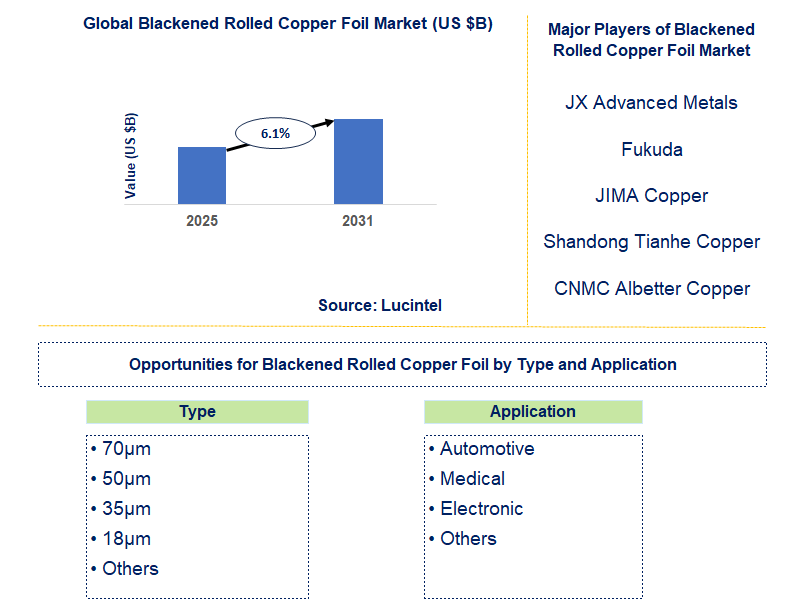 Blackened Rolled Copper Foil Market Trends and Forecast