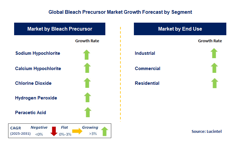 Bleach Precursor Market by Segment