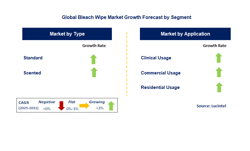 Bleach Wipe Market by Segment