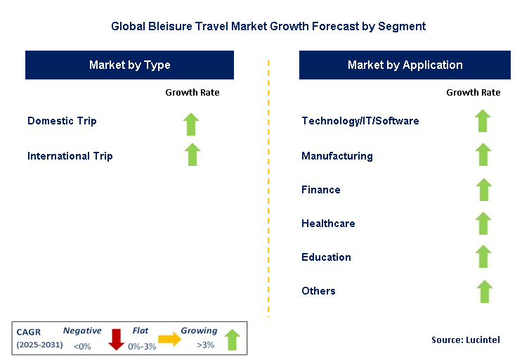 Bleisure Travel Market by Segment