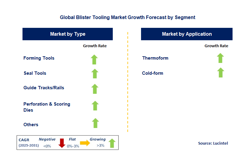 Blister Tooling Market by Segment