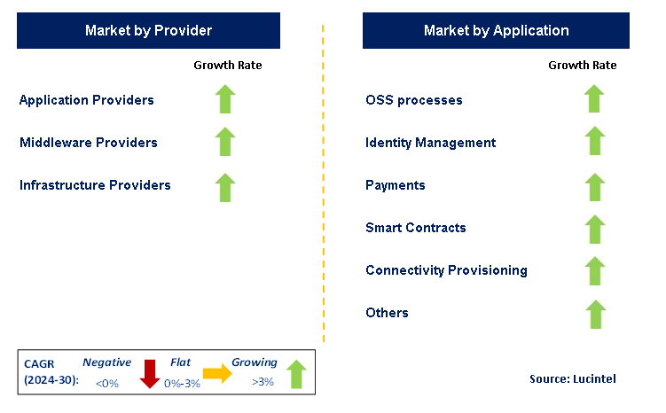 Blockchain in Telecom  by Segment