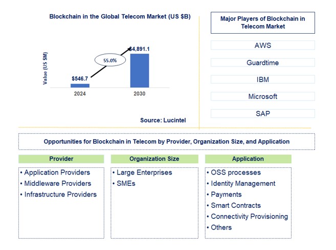 Blockchain in Telecom Market by Provider, Organization Size, and Application