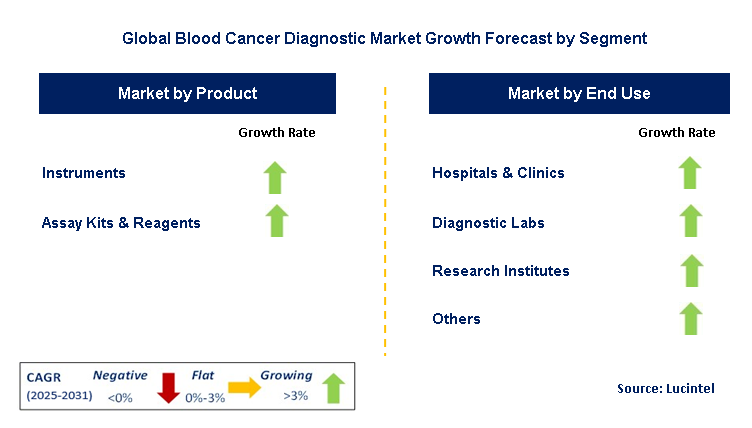 Blood Cancer Diagnostic Market by Segment