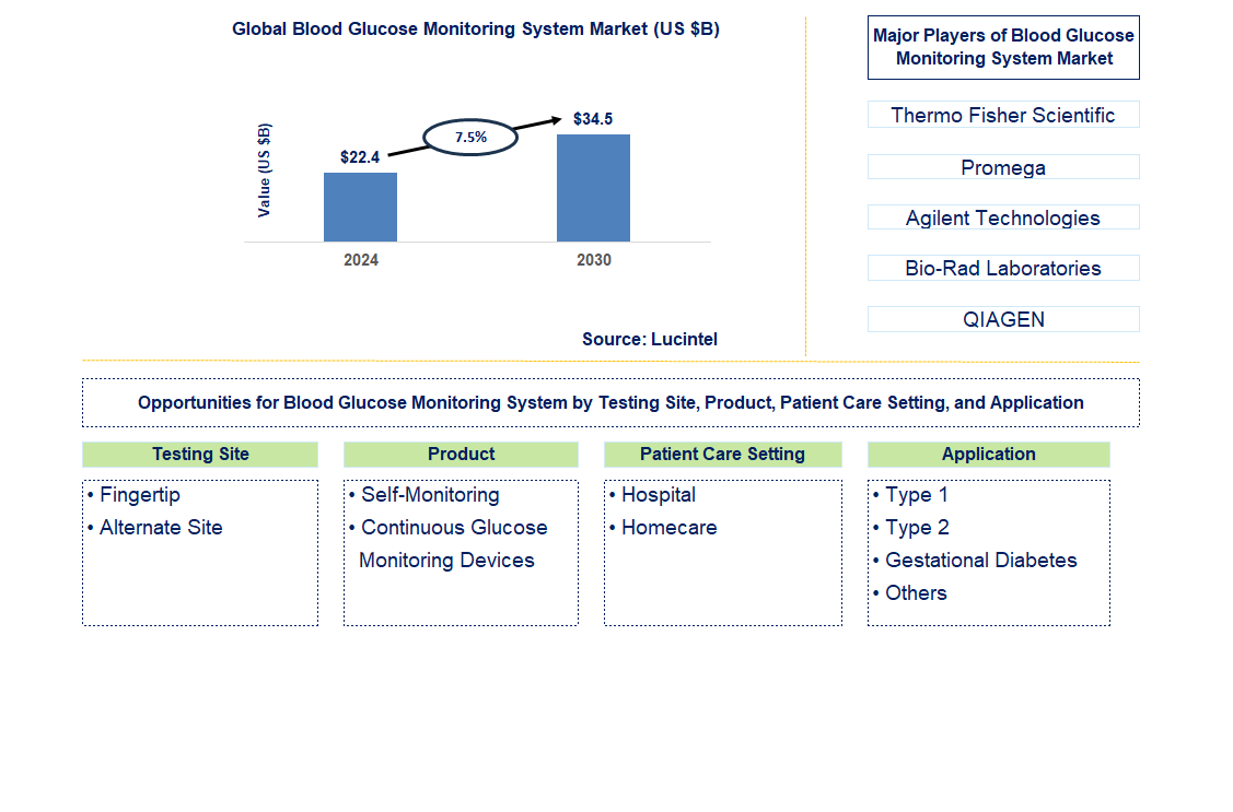 Blood Glucose Monitoring System Trends and Forecast