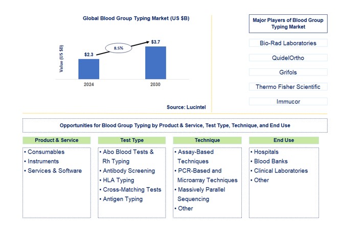 Blood Group Typing Market by Product & Service, Test Type, Technique, and End Use