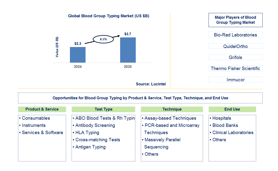 Blood Group Typing Trends and Forecast