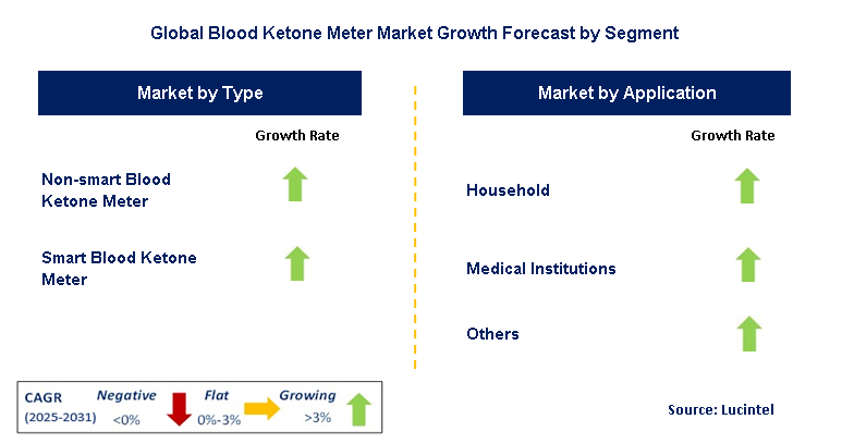 Blood Ketone Meter Market by Segment