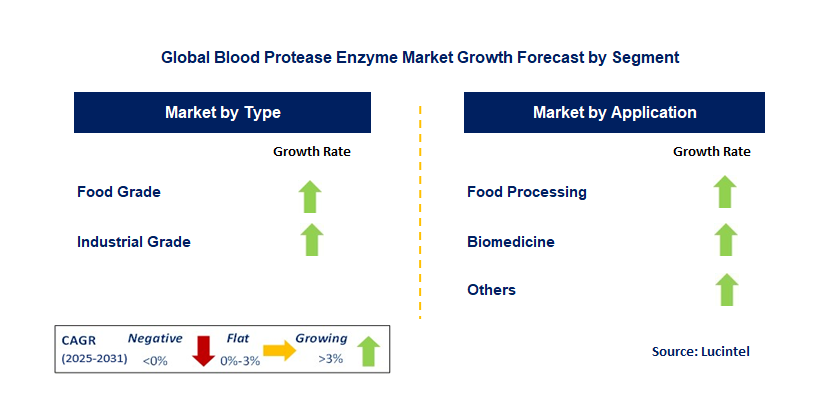 Blood Protease Enzyme Market by Segment