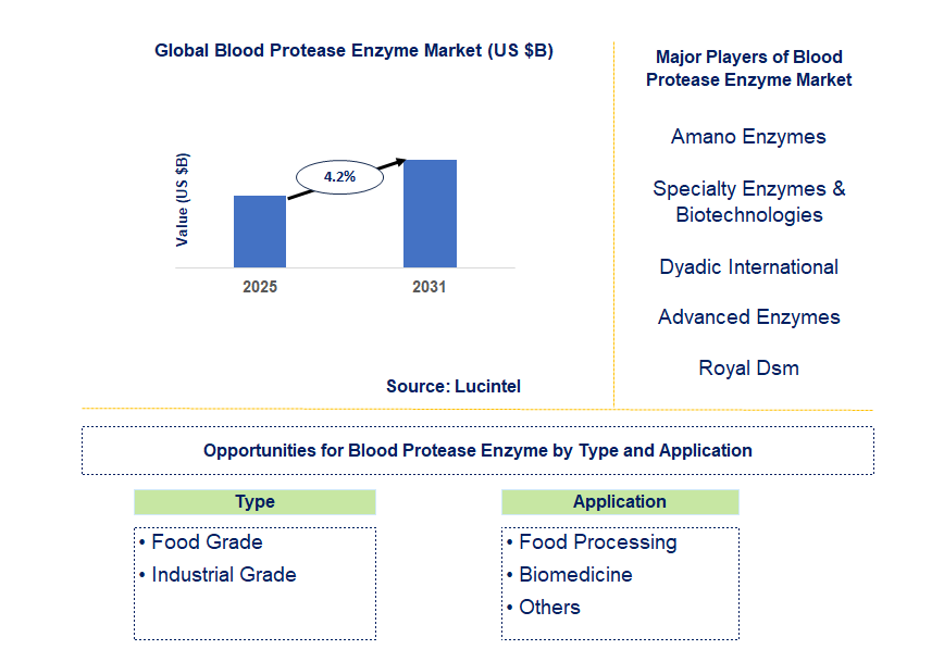 Blood Protease Enzyme Market Trends and Forecast