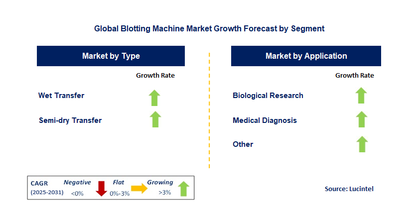 Blotting Machine Market by Segment