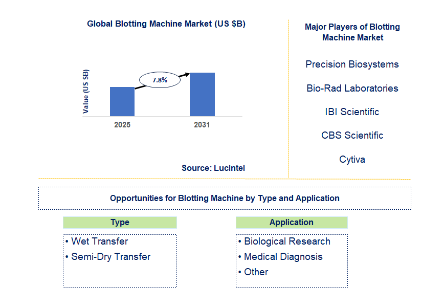 Blotting Machine Market Trends and Forecast