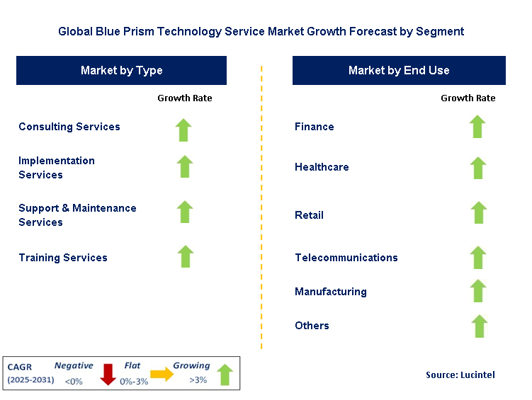 Blue Prism Technology Service Market by Segment